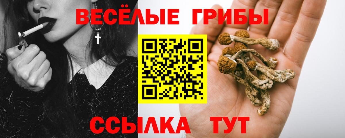 Ярцево  Псилоцибиновые грибы Psilocybine cubensis  Вход с VPN  хочу   Галлюциногенные грибы Cubensis 